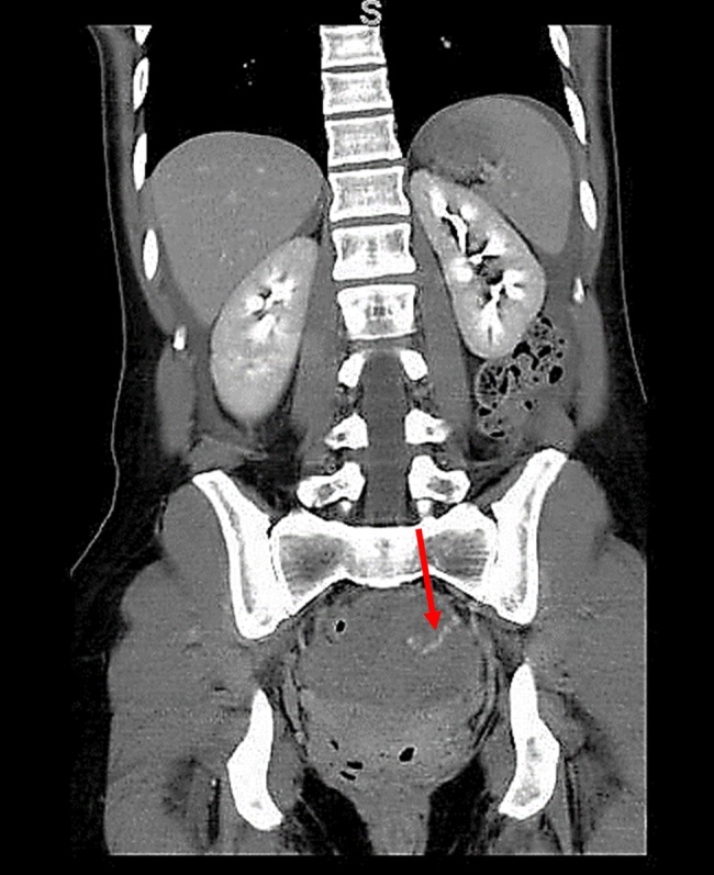 Figure 1: