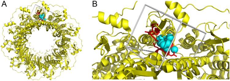 Fig 1