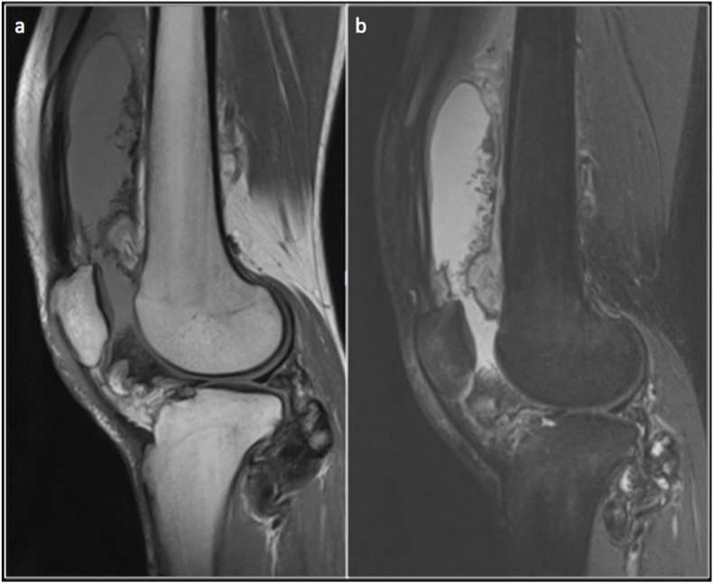 Fig. 6