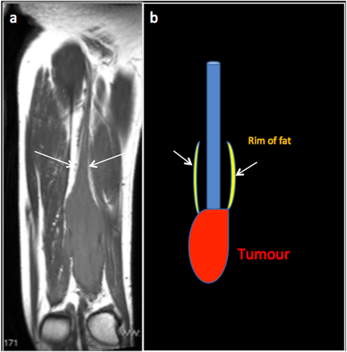 Fig. 8