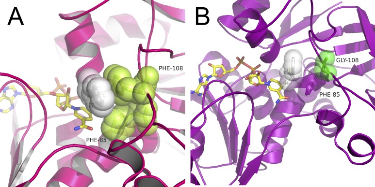 Fig 5