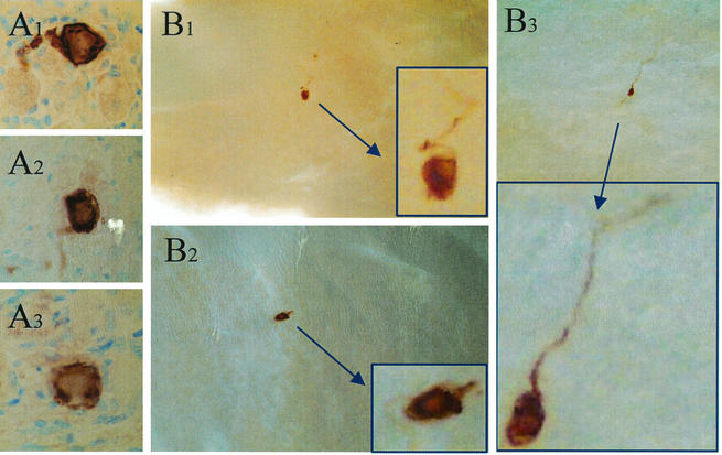 FIG. 5.