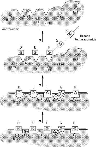 Fig. 9