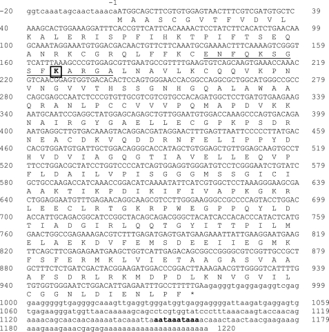 FIGURE 1.