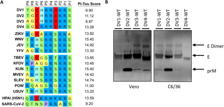 FIG 1