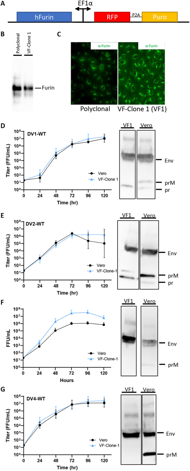 FIG 2