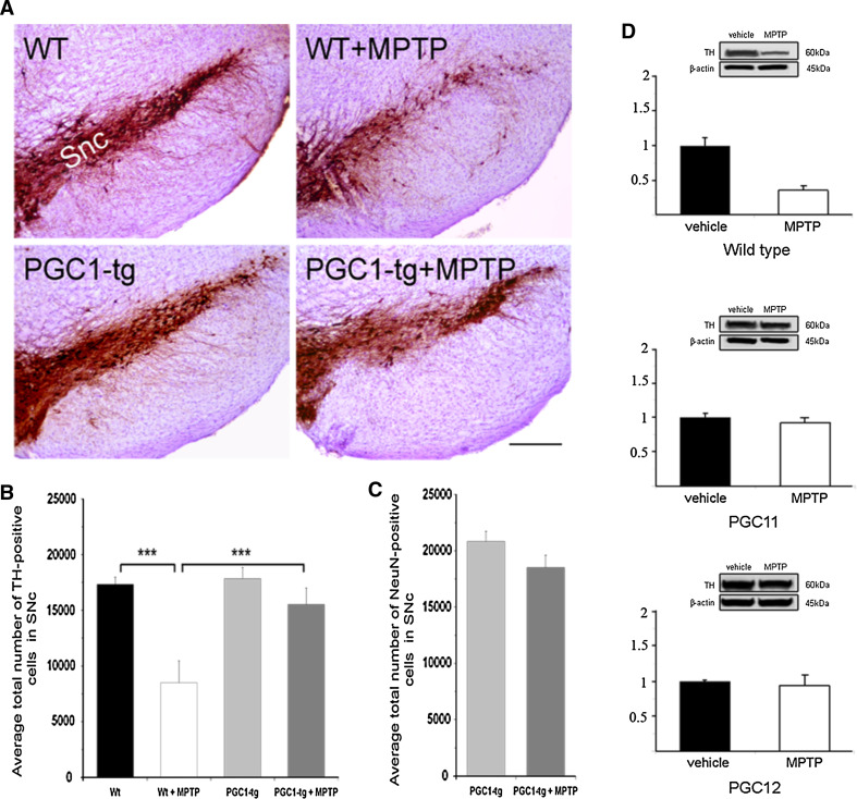 Fig. 2