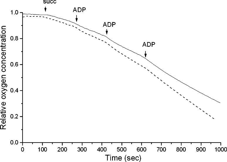 Fig. 4