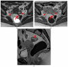 Figure 15