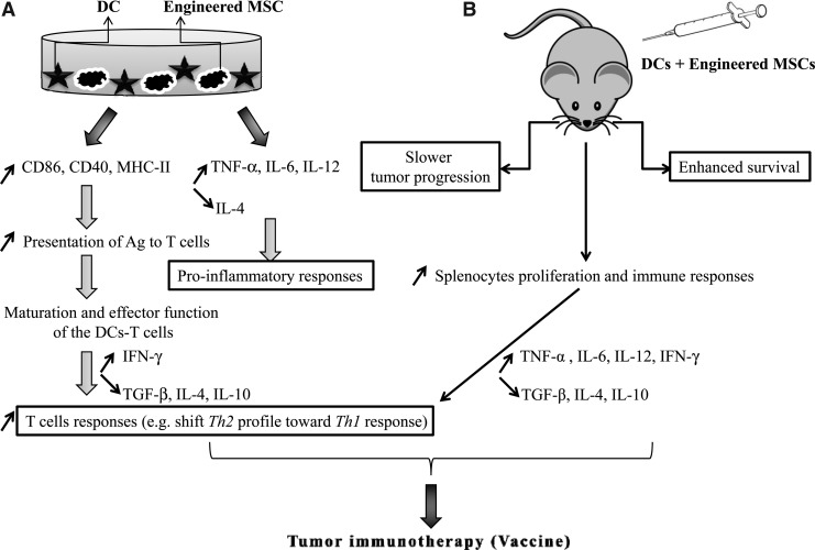 FIG. 7.