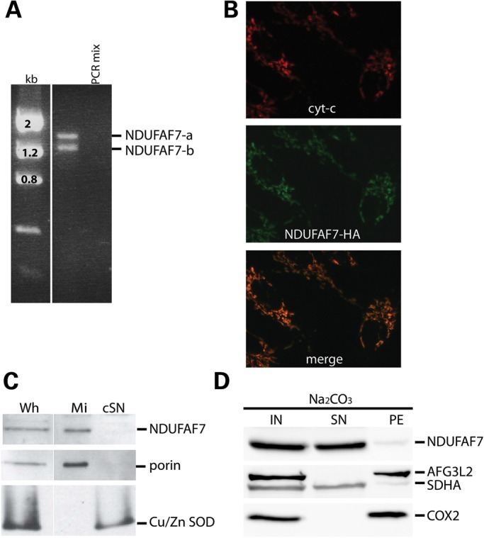 Figure 1.