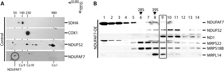 Figure 3.