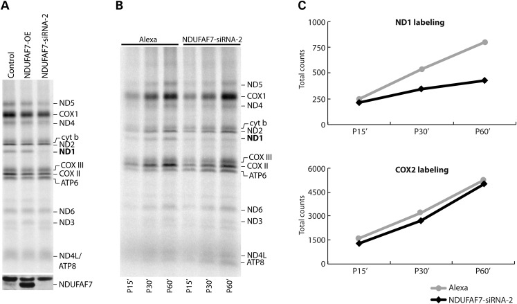 Figure 4.