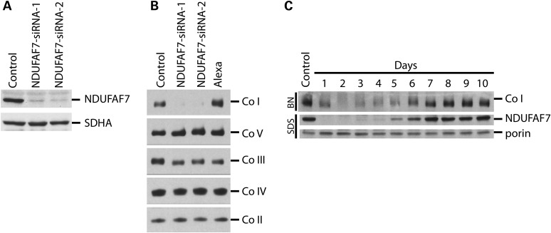 Figure 2.