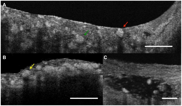 Figure 7