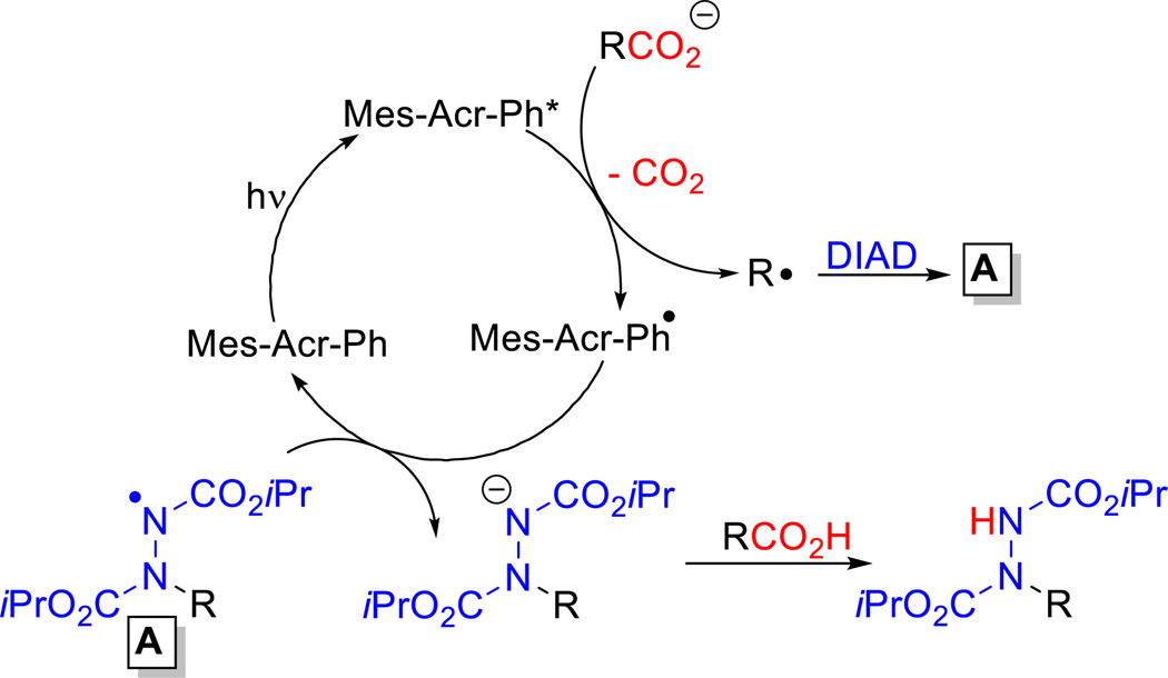 Scheme 3