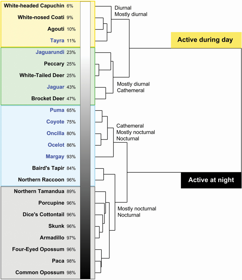 Fig. 3.