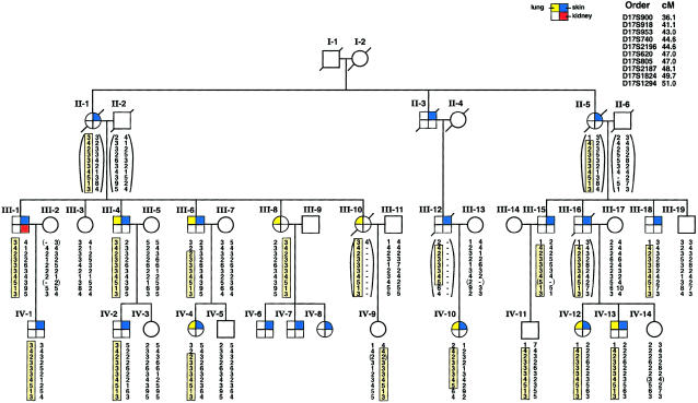 Figure  1