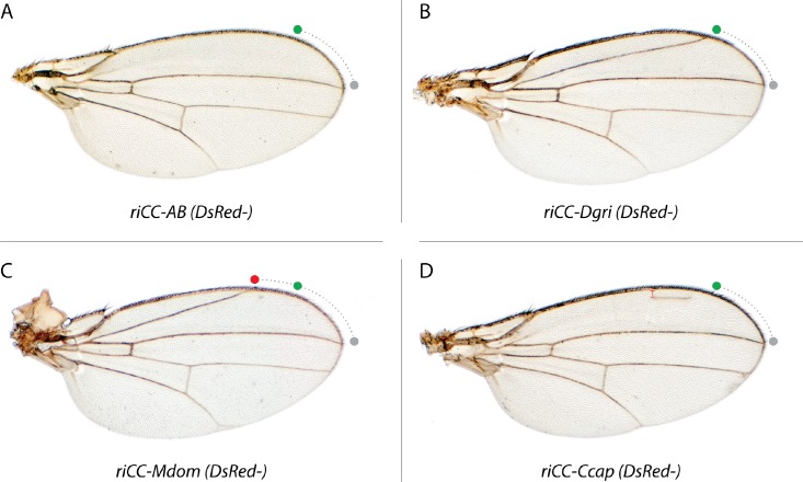 Figure 5—figure supplement 2.