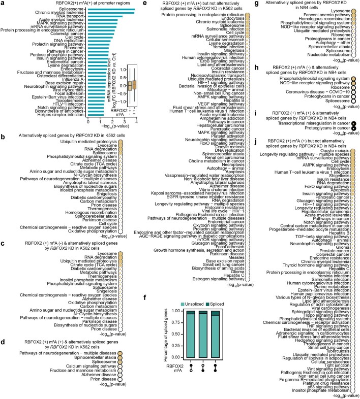 Extended Data Fig. 8