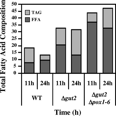 FIG. 7.