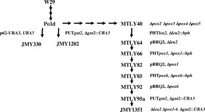 FIG. 2.