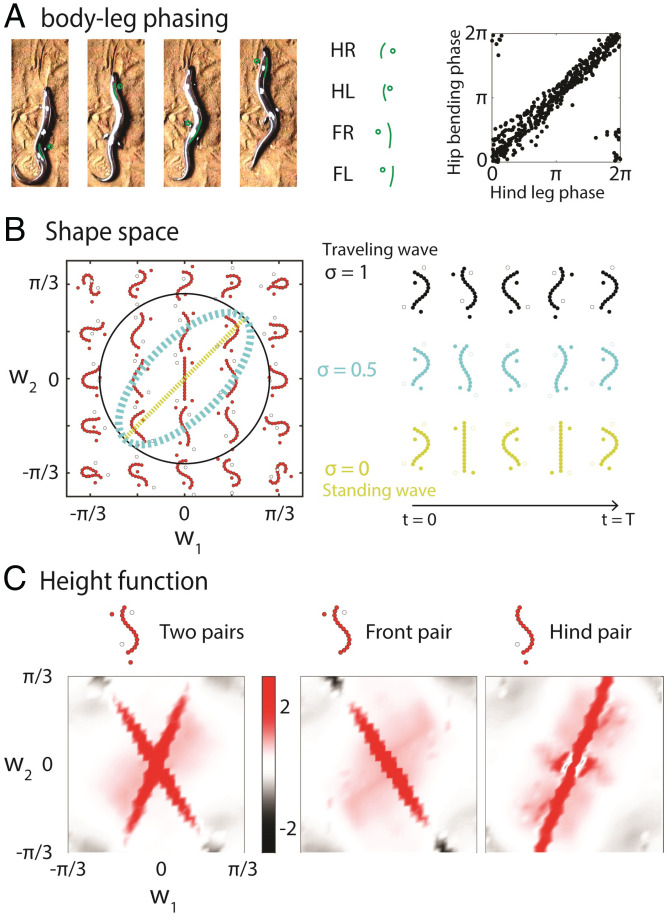 Fig. 4.