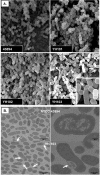 FIG. 8.