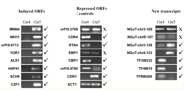 Figure 3 