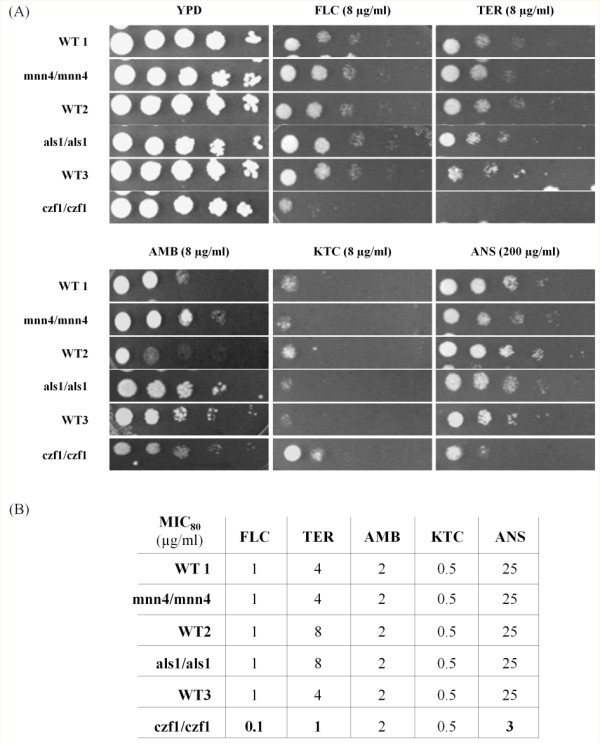 Figure 4 