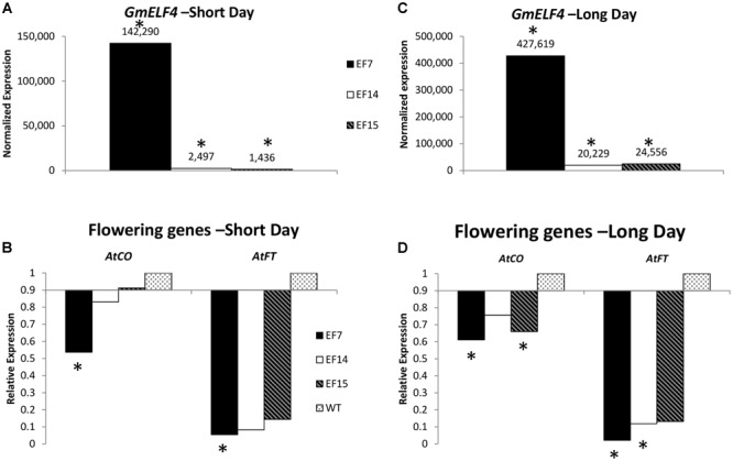 FIGURE 4