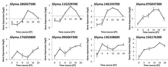 FIGURE 3