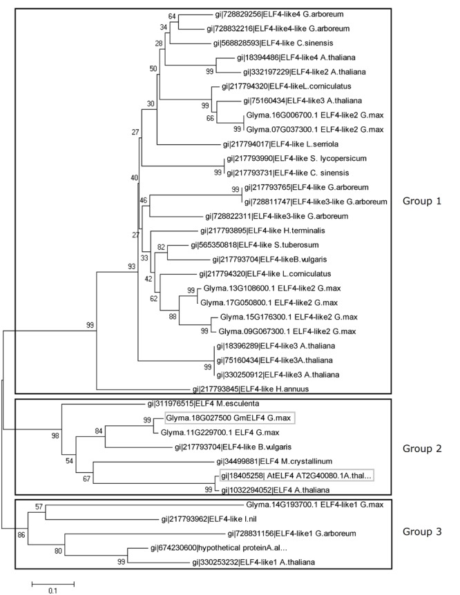 FIGURE 1