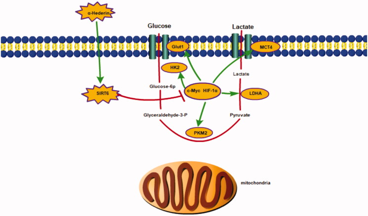 Figure 9.