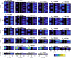 Extended Data Fig. 1