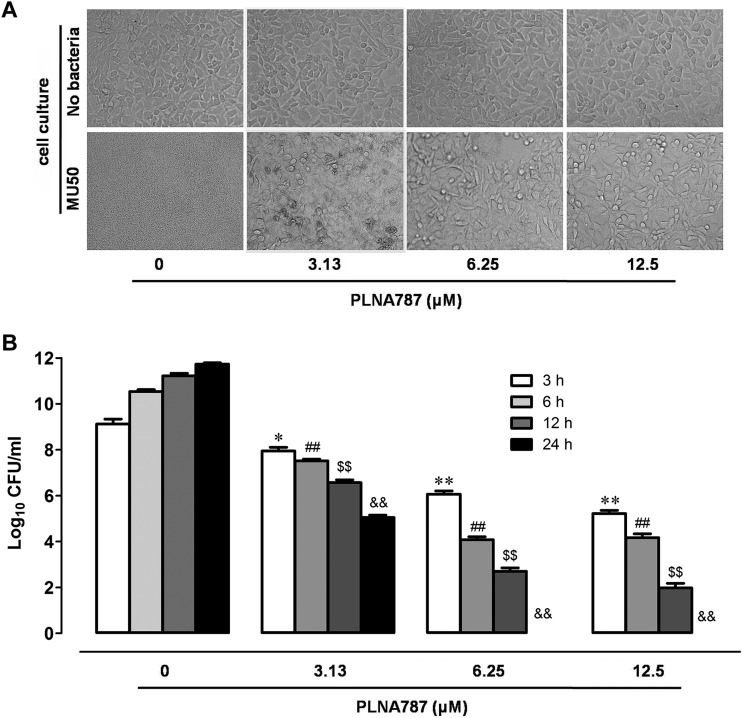 FIG 3