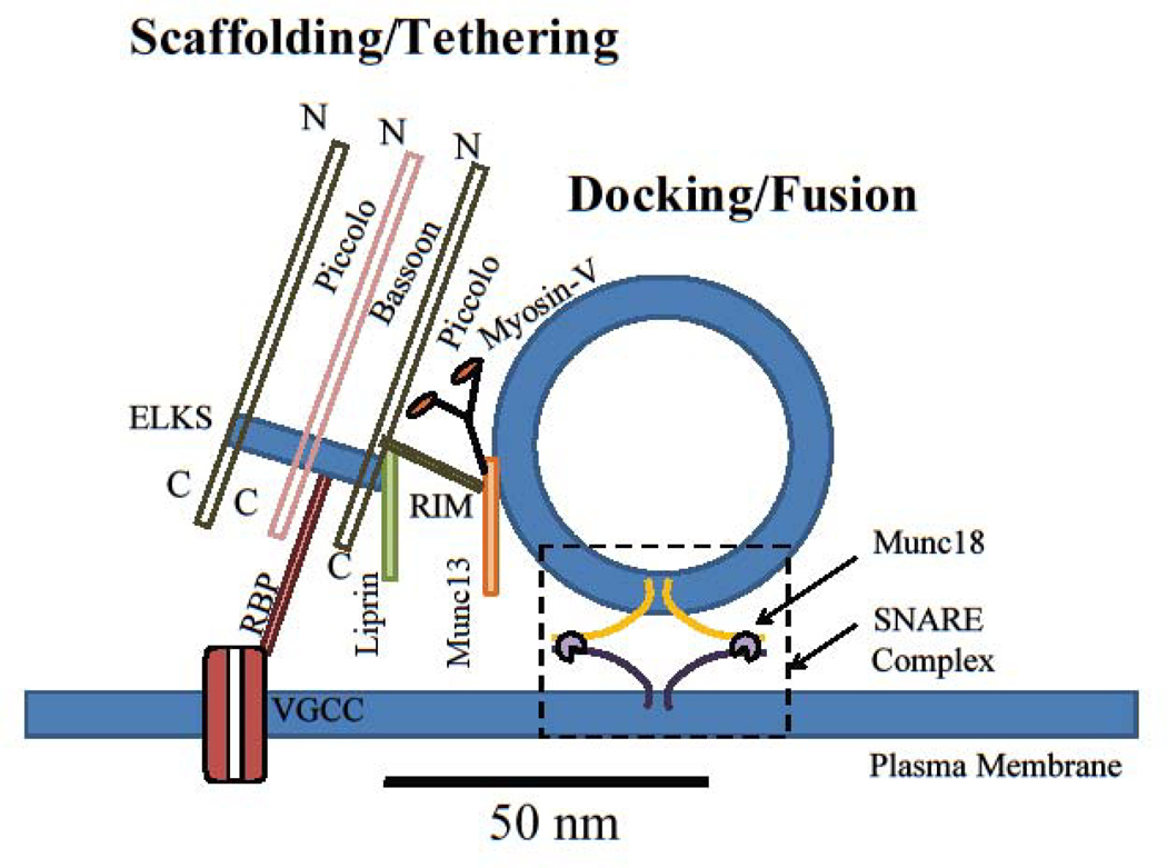 Figure 1: