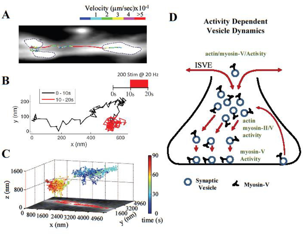 Figure 3: