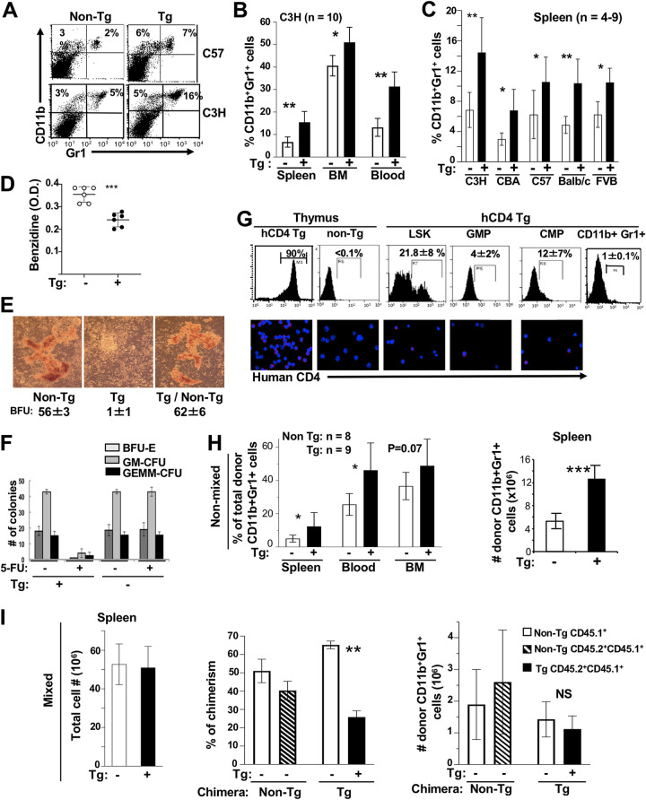 FIG 6