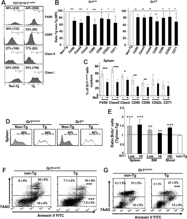 FIG 2