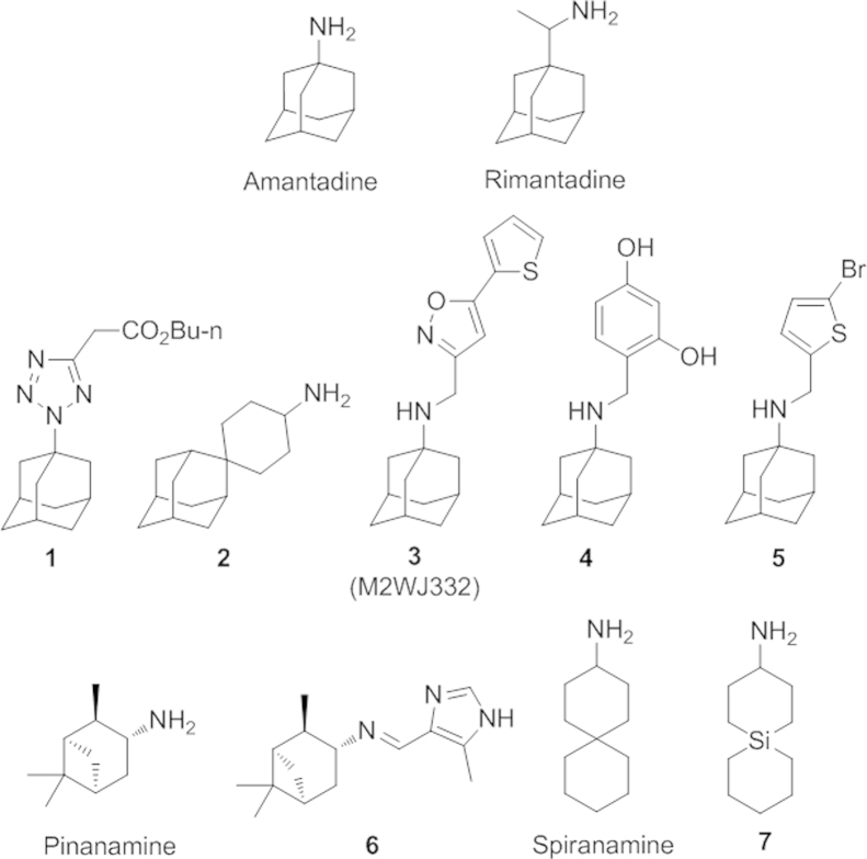 Figure 2