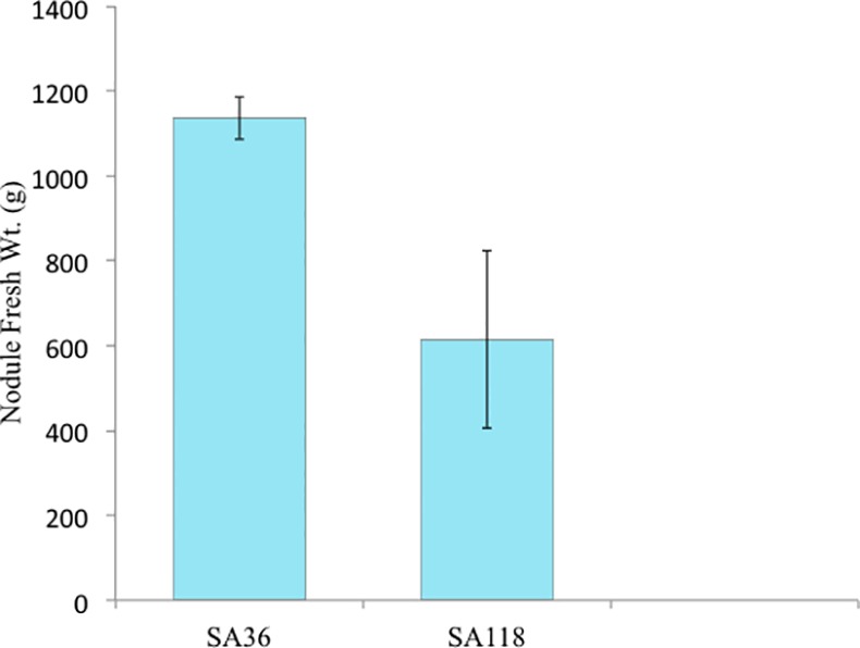 Fig 4