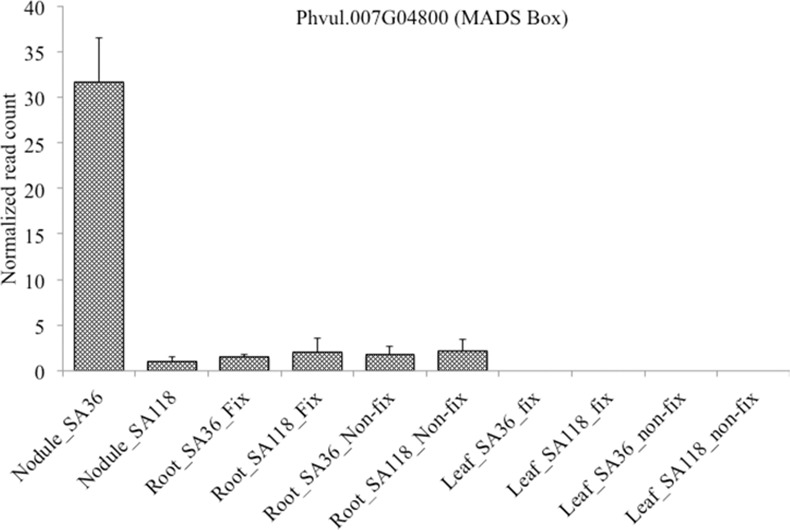 Fig 5