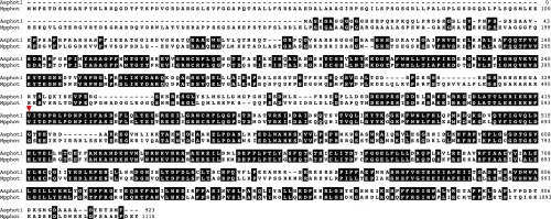 Fig. S6.