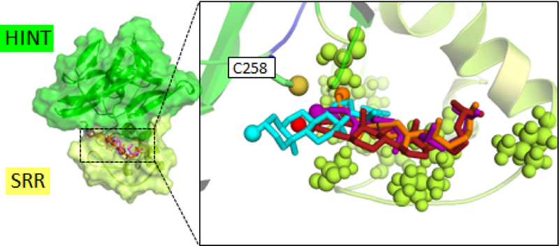 Figure 3.