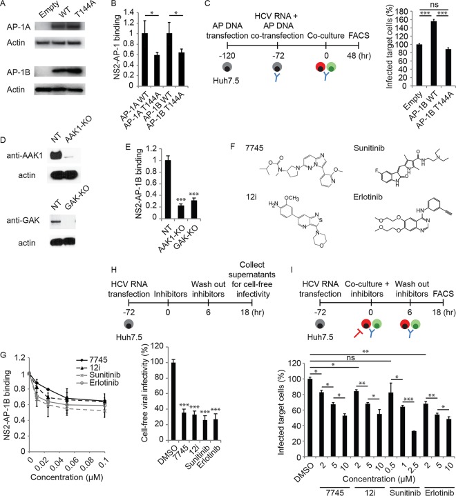 FIG 6 