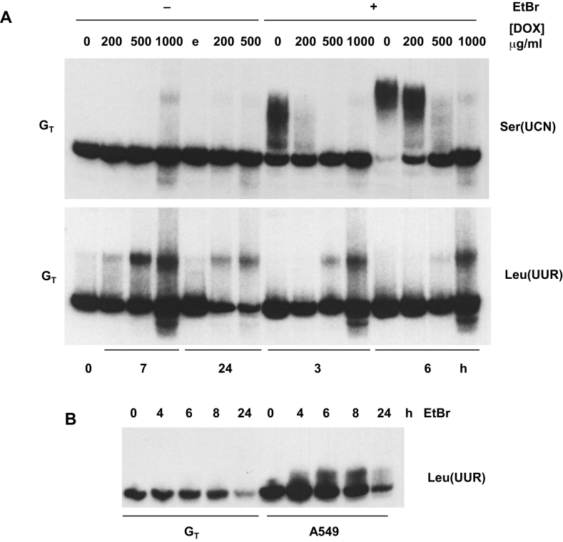 Figure 7.