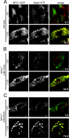 FIGURE 4.