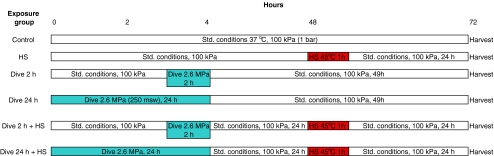 Fig. 2