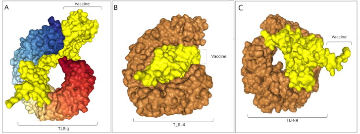 Figure 11.